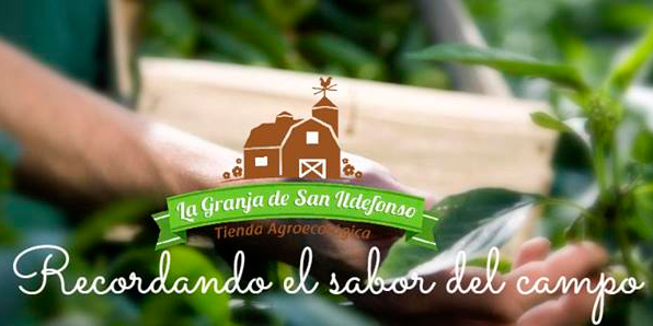 Entrevista Sostenible #24: Yudi Pulido, fundadora de La Granja de San Ildefonso