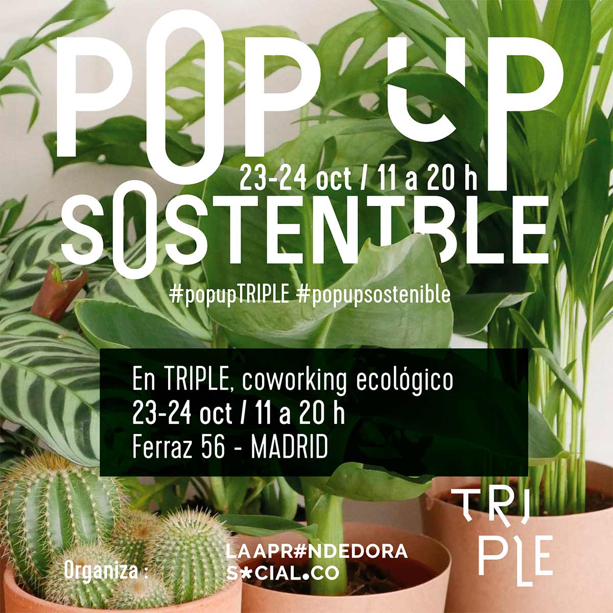 TRIPLE, la Aprendedora Social y Deleitewear organizan el primer pop up con marcas sostenibles y regenerativas