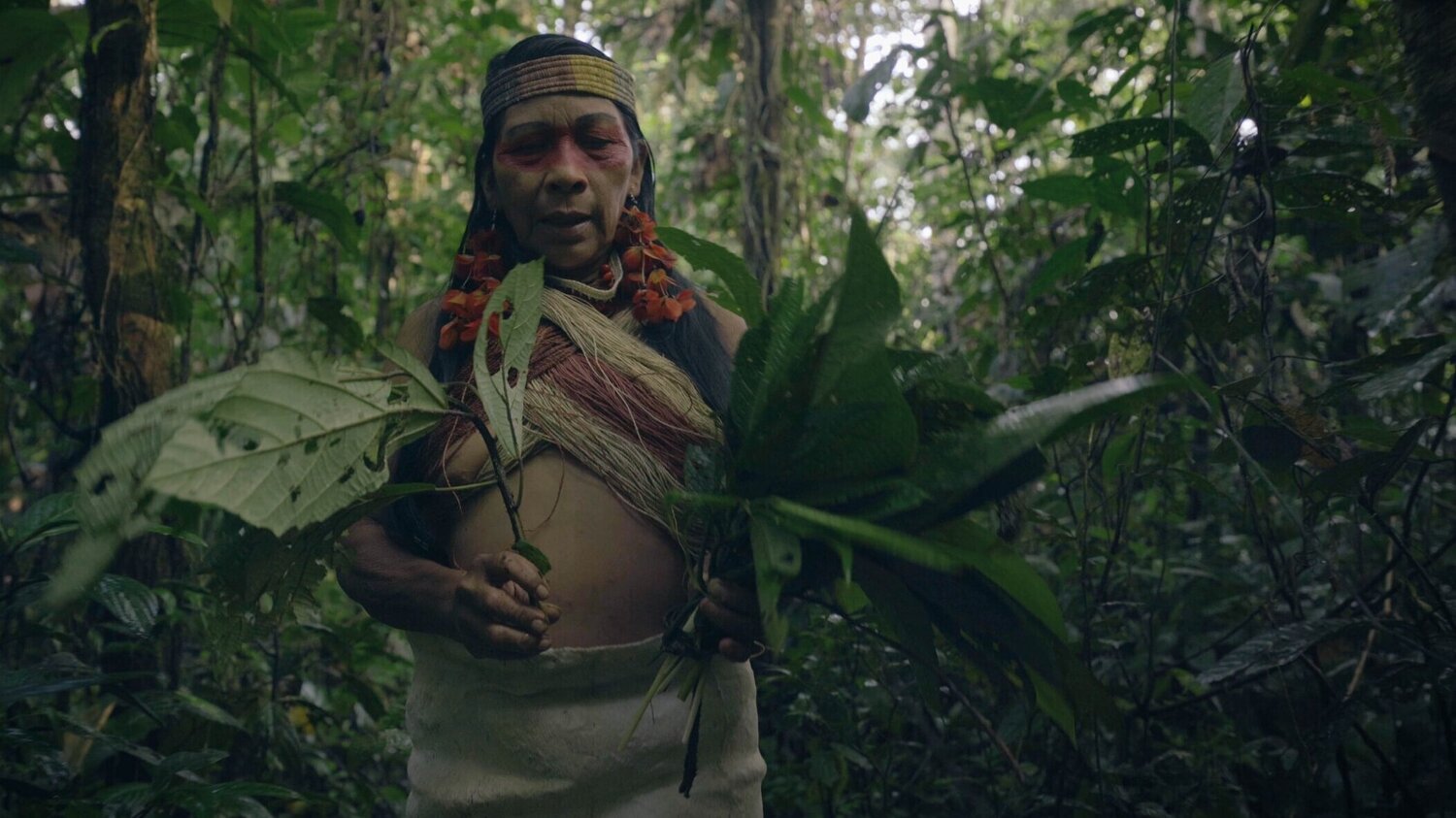 «Aprendiendo a ser Humano», la docuserie de los pueblos indígenas que se presenta durante la COP26