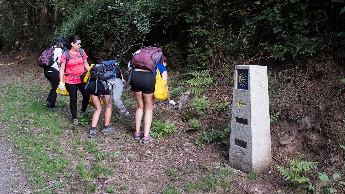 Los peregrinos del Camino de Santiago reciclaron este verano casi 186 toneladas de envases